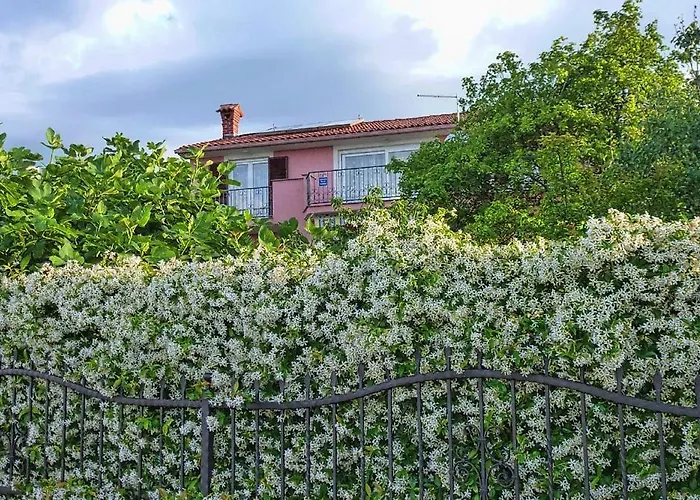 Beautiful Selci Located In Private House With The Private Pool