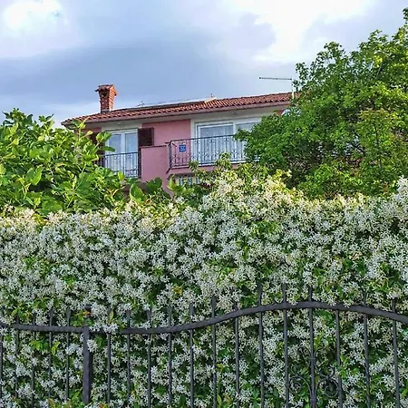 Beautiful Selci Located In Private House With The Private Pool