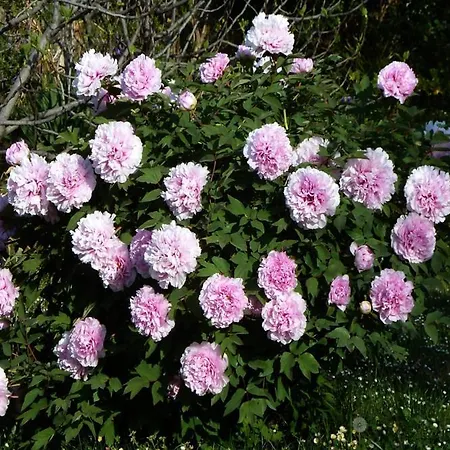 Beautiful Selci Located In Private House With The Private Pool *