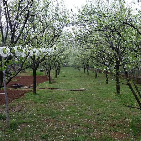 Апартаменты Beautiful Selci Located In Private House With The Private Pool